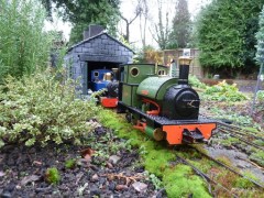 Firs Garden Railway 15