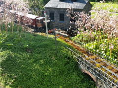 Firs Garden Railway 1