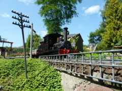 Firs Garden Railway 12