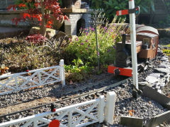 Firs Garden Railway 8