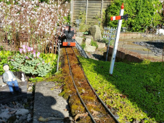 Firs Garden Railway 5